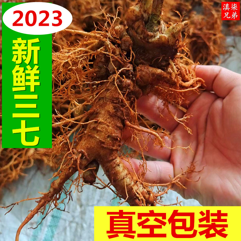 新鲜三七 云南文山四年生新鲜生三七田七活三七泡酒500g现挖现卖