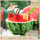 CAKEBOSS夏日限定快乐一夏呀冰淇淋奶油西瓜生日蛋糕北京同城配送