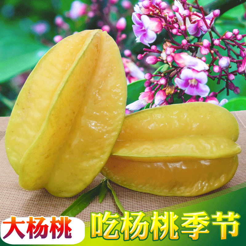Shunfeng 5 Hopeful Five sub-grabbing Hainan fresh Tropical fruit Sanya Carambole Hopefulin the Aquatic meat/Fresh fruits and vegetables/Cooked , Fresh fruit , Carambole category - from Buy2taobao.com to provide professional Taobao agent buy service