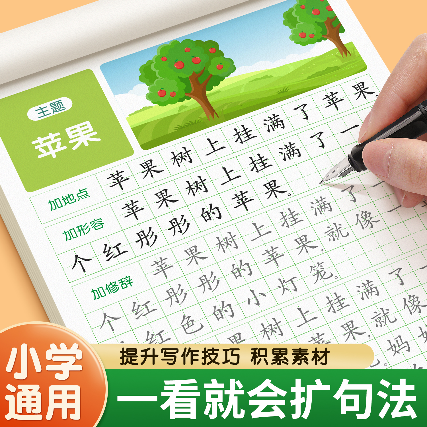 一看就会扩句法写作文练字帖小学生专用语文同步字帖每日一练晨读一二三四五六年级上下册硬笔书法练字本好词句素材积累阅读训练册