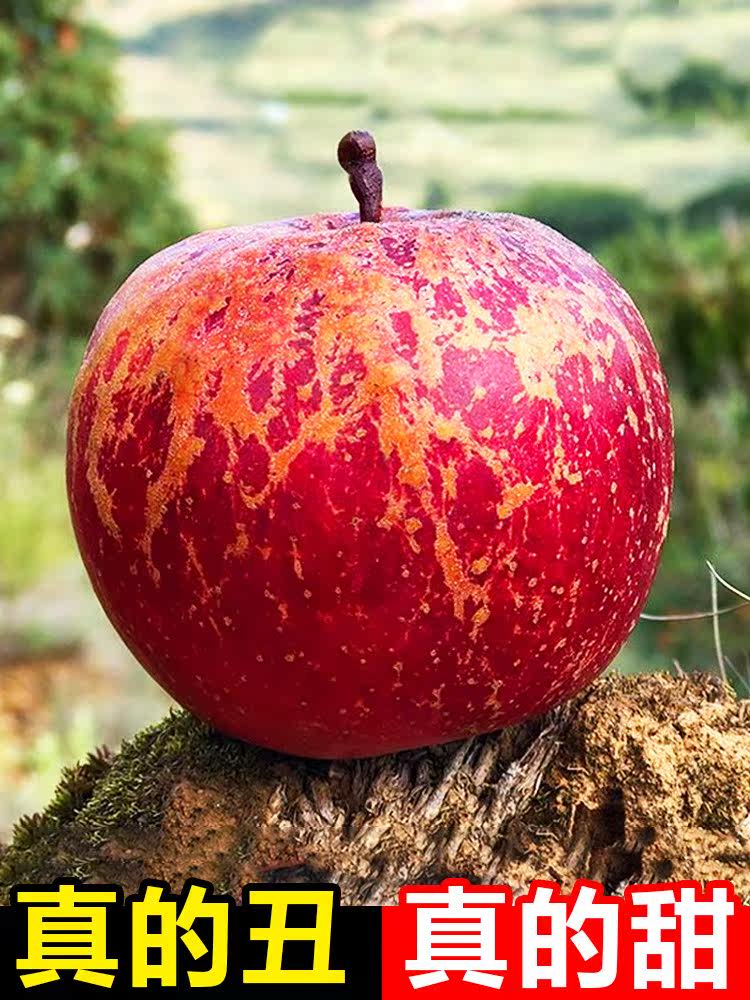 大凉山盐源丑苹果水果新鲜斤当季整理嘎啦昭通小冰糖心平果10时令