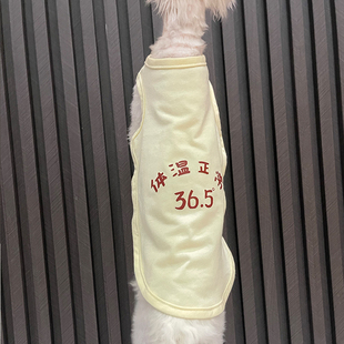 夏季纯棉肚兜背心印花任发财无毛猫衣服斯芬克斯猫德文衣服