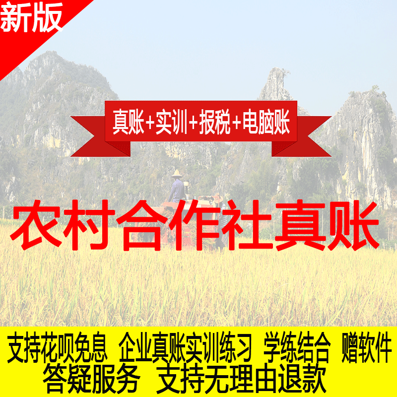 农村合作社真账实操教程教会计实务做账纳税申报课程实训全盘账