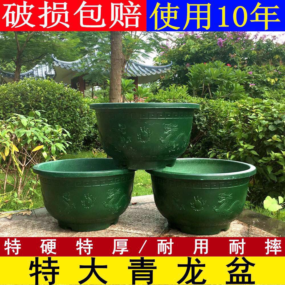 种树盆景树桩花卉盆栽青龙盆 特大号塑料花盆超大加厚龙缸盆 包邮
