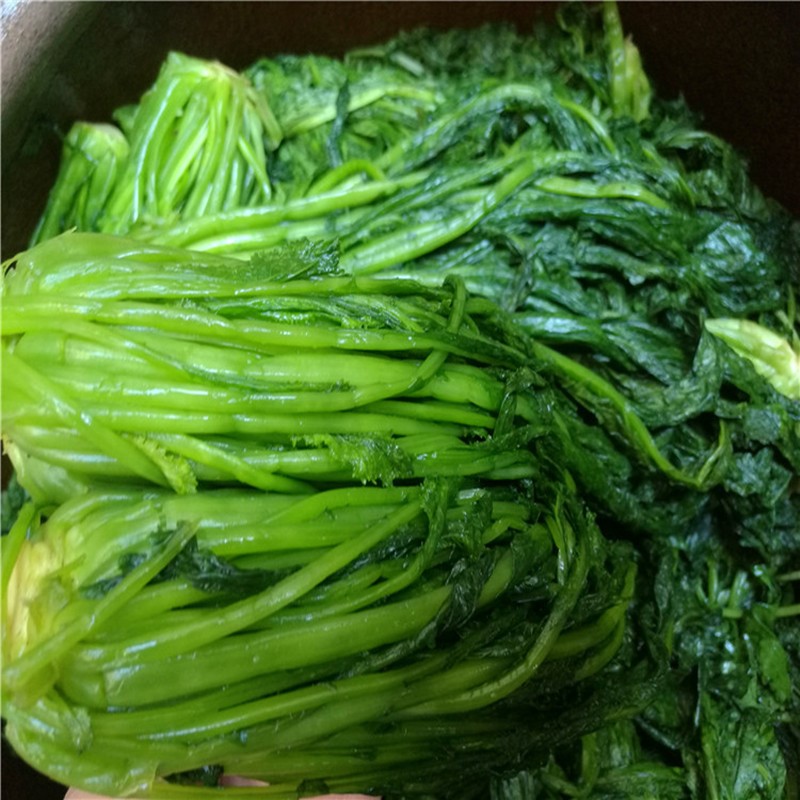 10斤装绿雪菜东台优质咸菜 绿咸菜 绿色雪里蕻新鲜腌制下饭菜酱菜