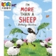 I'm More Than A Sheep 不仅仅是绵羊 英文原版儿童绘本 Bethany Christou 大音