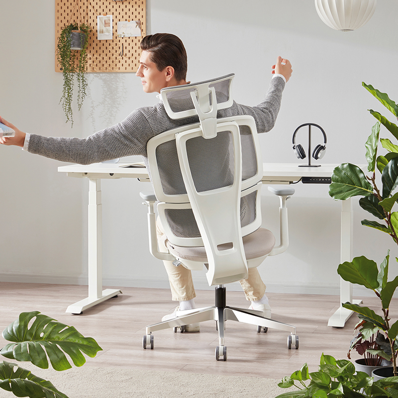 圣奥sunon哈途 人体工学椅电脑椅老板办公椅护腰舒适久坐靠背椅子