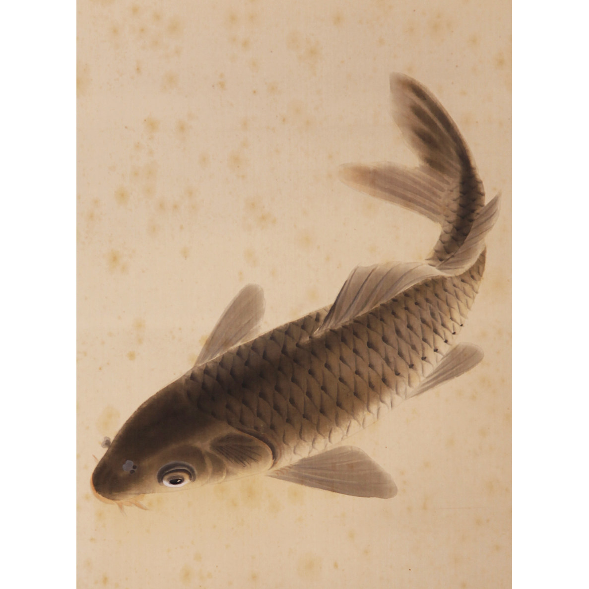 a32 佚名《鱼戏图》日本回流