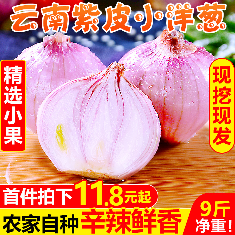 Yunnan Onion 9 pounds Small fruit fresh Onion Farm Vegetables Redskins Onion specialty wholesale 10in the Aquatic meat/Fresh fruits and vegetables/Cooked , Fresh vegetables/Vegetable products , Fresh vegetables , 洋葱 category - from Buy2taobao.com to provide professional Taobao agent buy service