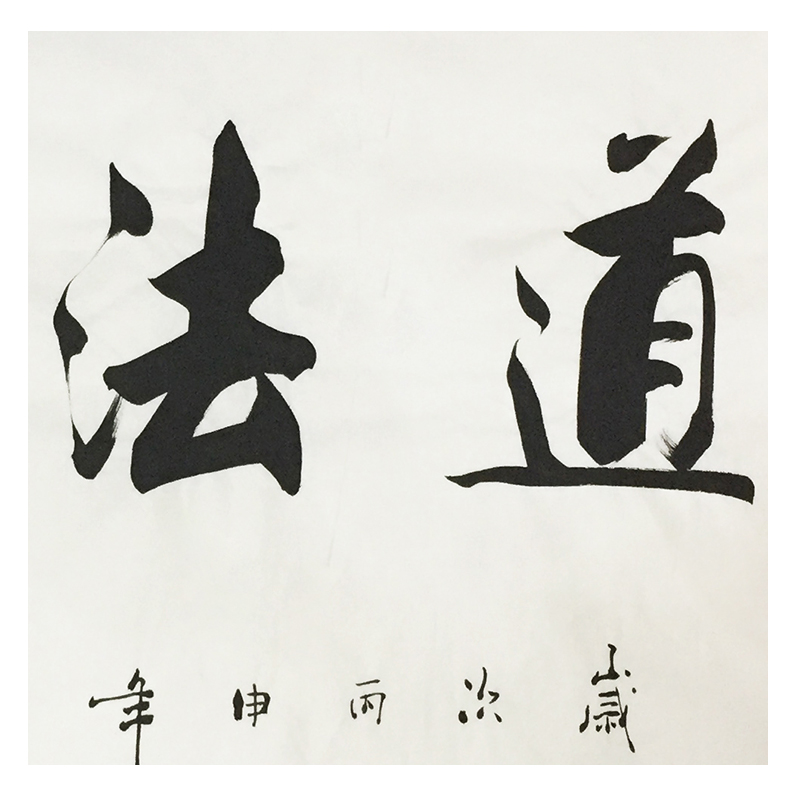 甘路《道法自然》广西中华书院理事