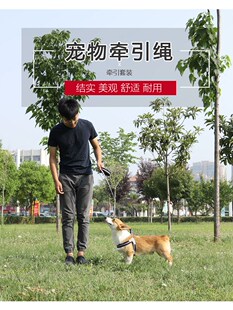 背心式狗狗牵引绳泰迪小型犬比熊宠物胸背带小狗幼犬遛狗绳狗链子