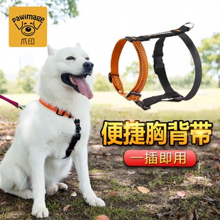 pawimage爪印狗狗胸背带 狗绳子牵引绳带小鹿犬泰迪小中型犬夏季