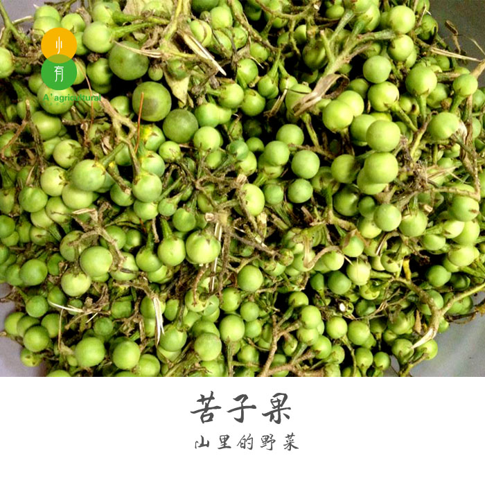 云南野菜野果苦子果傣味小苦果苦茄苦凉小圆茄青茄蘸