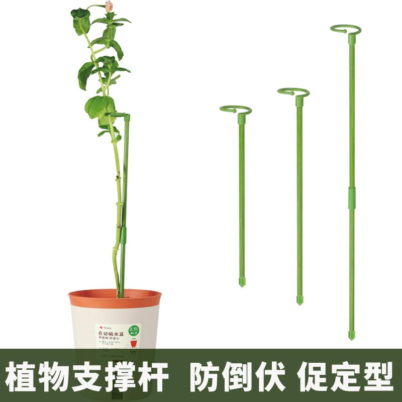 园艺盆景蝴蝶兰支架植物支撑杆多肉支撑防倒固型花架花支柱