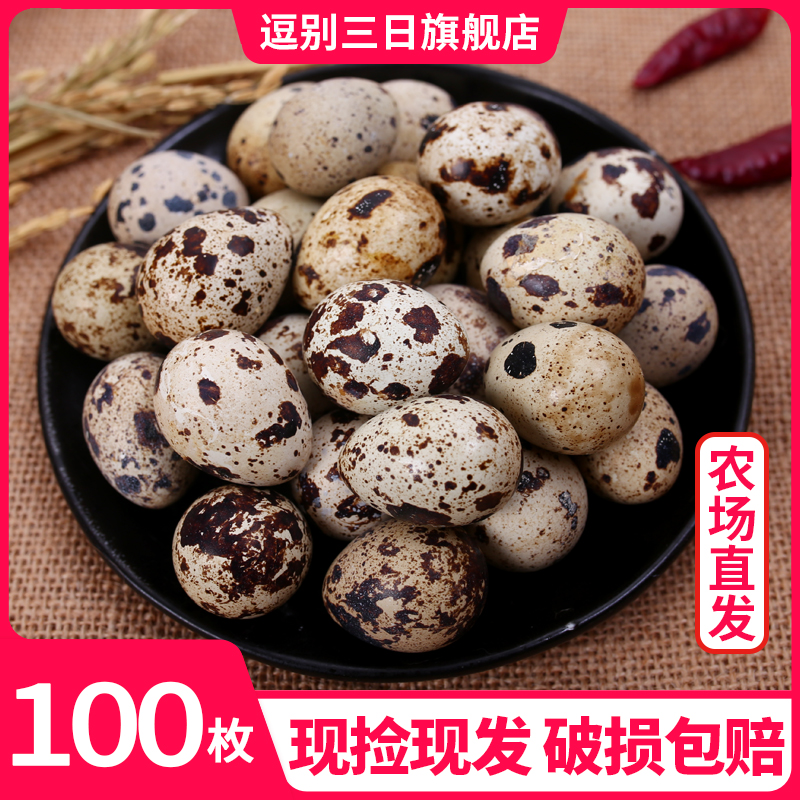 农家杂粮喂新鲜鹌鹑蛋100枚鹌鹑蛋生蛋鹑鸟蛋宝宝辅食 整箱包邮在类目 水产肉类/新鲜蔬果/熟食, 蛋/蛋制品, 鲜活蛋类, 鹌鹑蛋中 - 来自Buy2taobao.com提供专业的淘宝代购服务