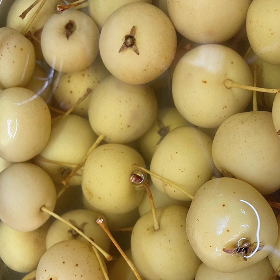 酸泡沙梨自制酸料广西酸嘢制水果酸特产什锦泡酸李子酸辣腌制 原价22.