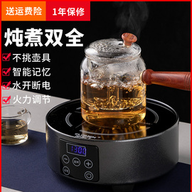 申花铁壶苫鸬缣章煮茶器黑茶静音小型家用咖啡摩卡壶迷你电茶炉