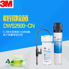3M净水器家用直饮DWS2500-CN厨房水龙头净水机器五级自来水过滤器