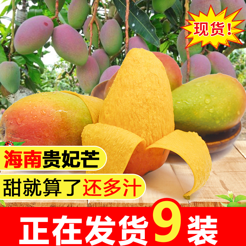 海南贵妃芒果整箱9斤当季新鲜应季热带青甜水果5批发包邮现货直发在类目 水产肉类/新鲜蔬果/熟食, 新鲜水果, 芒果中 - 来自Buy2taobao.com提供专业的淘宝代购服务