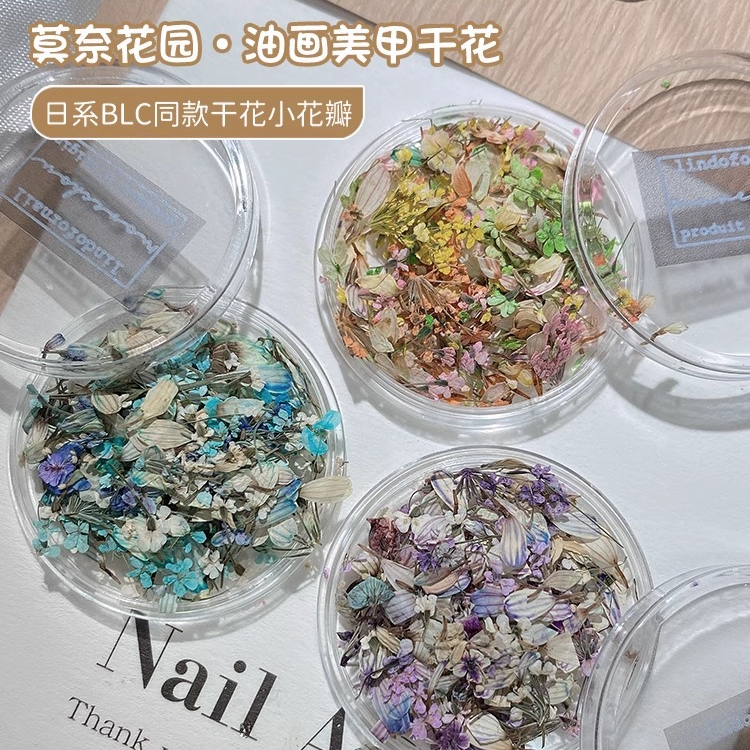 干花美甲饰品diy材料穿戴甲花瓣迷你碎花指甲专用网红爆款配件