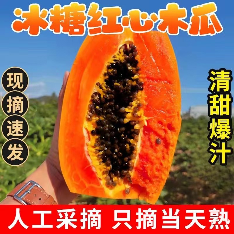 红心牛奶木瓜9斤整箱新鲜水果当季自