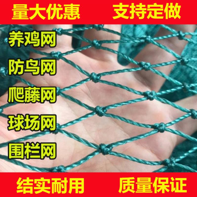 果树网简易。防鸟尼龙网围栏网新型编织绳塑料网护栏养鸡鸭专用网在类目 鲜花速递/花卉仿真/绿植园艺, 园艺用品, 其它园艺用品中 - 来自Buy2taobao.com提供专业的淘宝代购服务