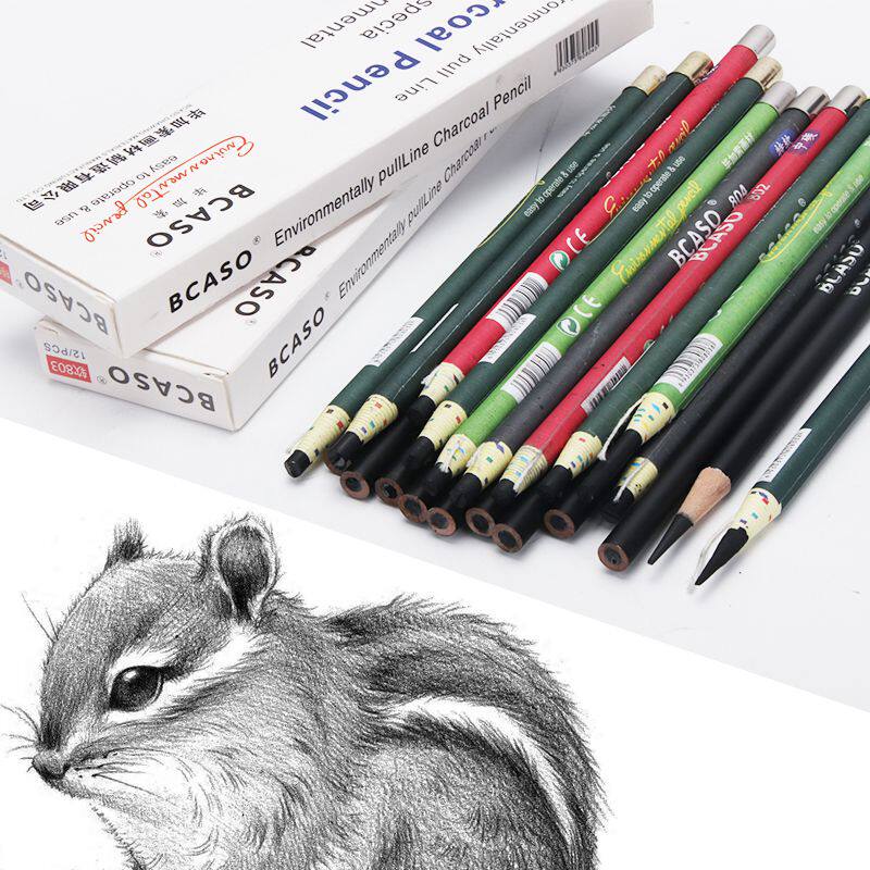 毕加索炭笔素描速写软碳初学者软性画笔碳笔软中硬正品画画铅笔