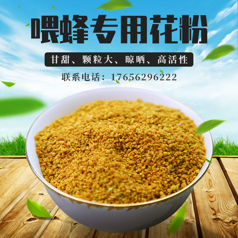 蜜蜂用粉喂蜂花粉油菜雜粉蜂花粉葵花雜粉顆粒養蜂糧食廠家供應在類目 傳統滋補營養品, 蜂產品, 其它蜂產品中 - 來自Buy2taobao.com提供專業的淘寶代購服務