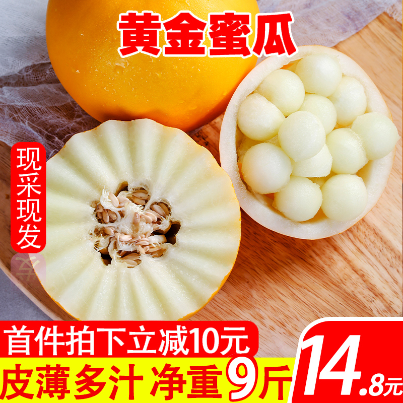 现摘甘肃黄河蜜瓜新鲜水果9斤装哈密瓜黄金蜜瓜甜香瓜批发包邮鲜|ruв категории водной мясо/свежие фрукты и овощи/еда, свежие фрукты, дыня - от Buy2taobao.com для оказания профессиональной услуги покупки агента Taobao