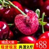 烟台大樱桃车厘子现货2斤新鲜水果包邮当季美早5车里子10孕妇|ru 烟台大樱桃车厘子现货2斤新鲜水果包邮当季美早5车里子10孕妇|ru