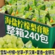 海盐柠檬薄荷梨膏风味正宗润喉梨汁清凉硬糖独立清爽包装休闲零食