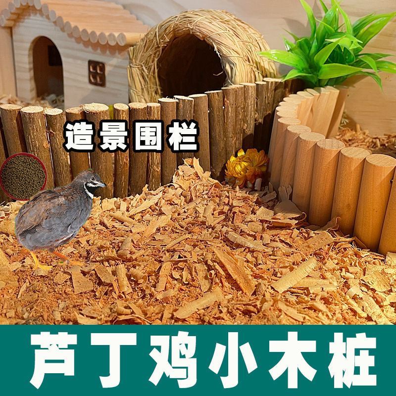 芦丁鸡布景布置造景装饰用品饲养箱平台布景木支架阁楼隔板隔断