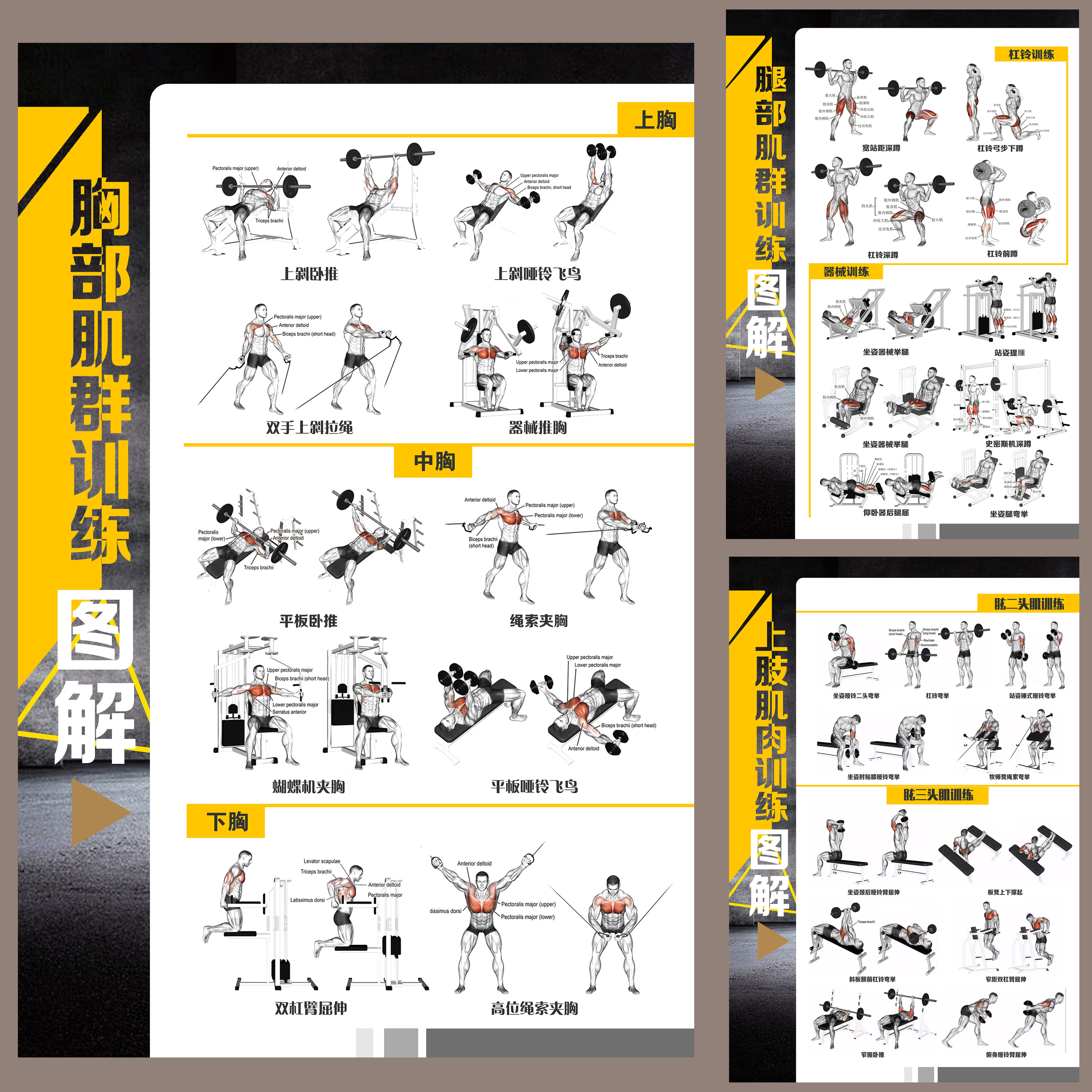 哑铃全身训练方法图解图片