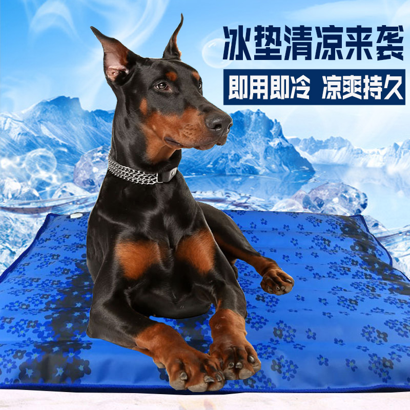 summer cooling sofa Cold cushion Water Cushion summer Golden Retriever Teddy dog Dog mat Pets Ice padin the Home Daily , Fan/Mini Fan/Fitting/Ice pad/Ice stickers , Ice pad category - from Buy2taobao.com to provide professional Taobao agent buy service