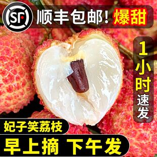 【顺丰】正宗妃子笑荔枝大果海南现摘5斤当季新鲜水果整箱批发