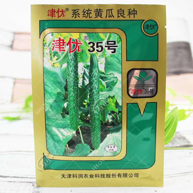 津研津优35号黄瓜种子种籽荷兰高产早熟耐寒绿肉越冬早春蔬菜大孑