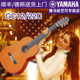 雅马哈古典吉他GC12S/GC22C/32全单专业演奏表演