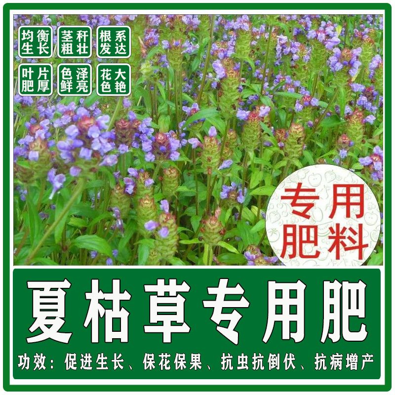 夏枯草苗用肥料花肥料复合肥有机肥营养土盆栽植物花卉颗粒缓释肥