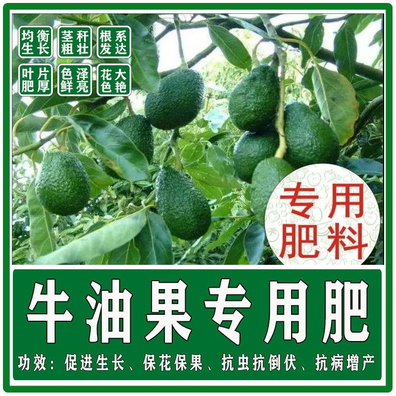 牛油果苗用肥料花肥料复合肥有机肥营养土盆栽植物花卉颗粒缓释肥