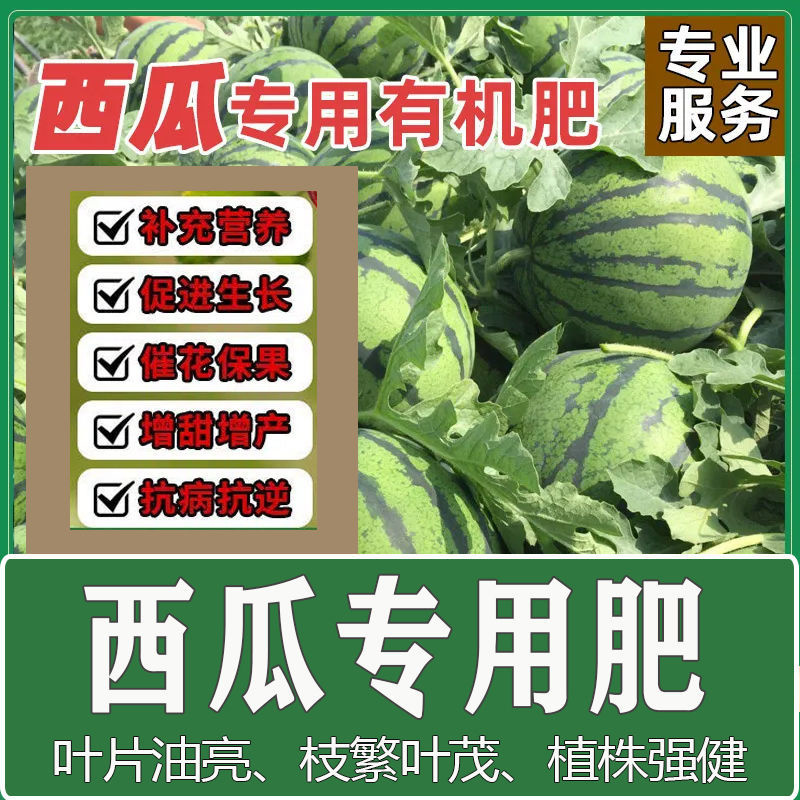 西瓜苗用肥料花肥料复合肥有机肥营养土盆栽植物花卉颗粒缓释肥