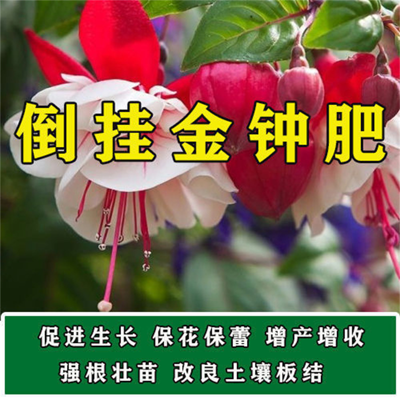 倒挂金钟苗用肥料花肥料复合肥有机肥营养土盆栽植物花卉颗粒缓