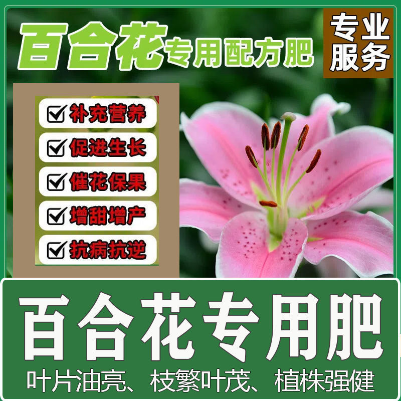 百合苗用肥料花肥料复合肥有机肥营养土盆栽植物花卉颗粒缓释肥