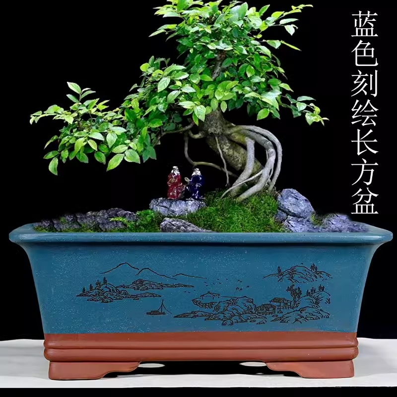 紫砂花盆长方形马槽盆室内花卉植物盆栽文竹梅花菖蒲盆景盆促销