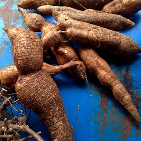 野生牛大力薯500g一斤装粉质好吃煲汤中药材新鲜干货特级