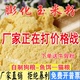 100斤膨化玉米粉狗粮 50斤膨化玉米面喂狗 饲料原料熟玉米粉20斤