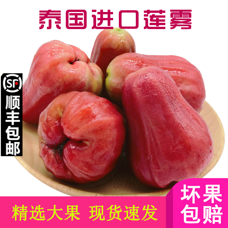 歌慕 泰國進口黑金剛蓮霧 新鮮水果批發包郵壞果包賠在類目 水產肉類/新鮮蔬果/熟食, 新鮮水果, 蓮霧中 - 來自Buy2taobao.com提供專業的淘寶代購服務
