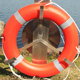 船用专业救生圈成人CCS认证2.5KG加厚实心国标塑料船检游泳泡沫圈