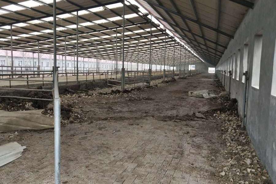 【第一次拍卖】山东雅娟高科有限公司所有的简易牛棚,草棚