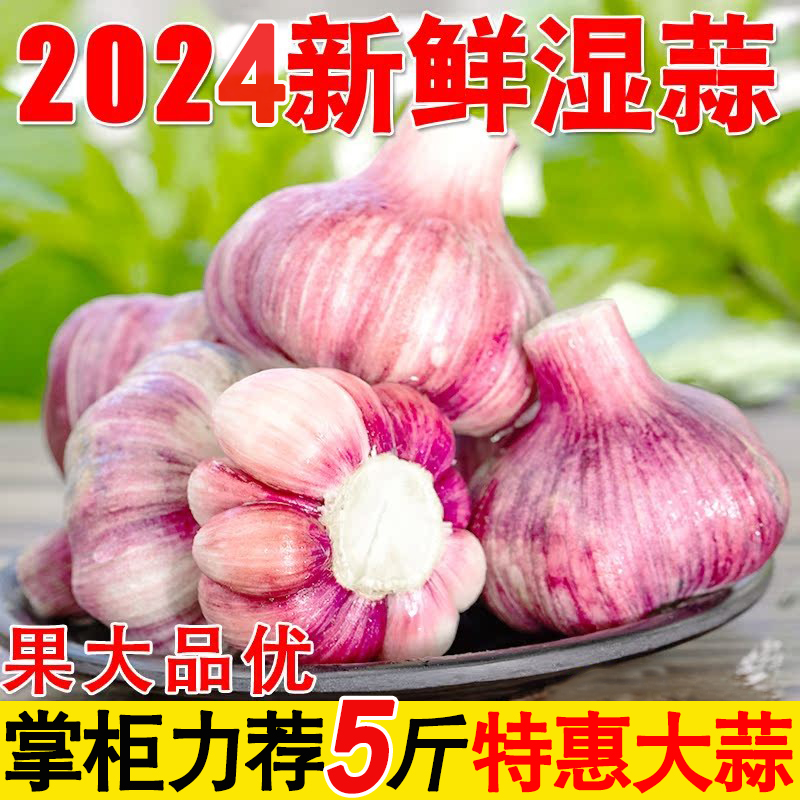 2024新鲜大蒜头紫皮湿蒜大祘腌制