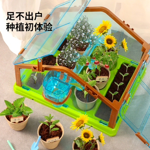 儿童种植阳光房小学生科学实验迷你植物观察花房种菜玩具屋套装